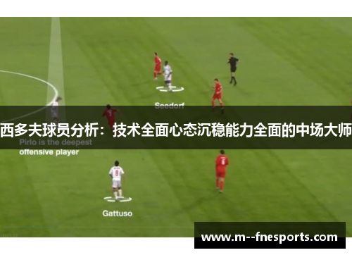 西多夫球员分析:技术全面心态沉稳能力全面的中场大师 西多夫球员分析:技术全面心态沉稳能力全面的中场大师