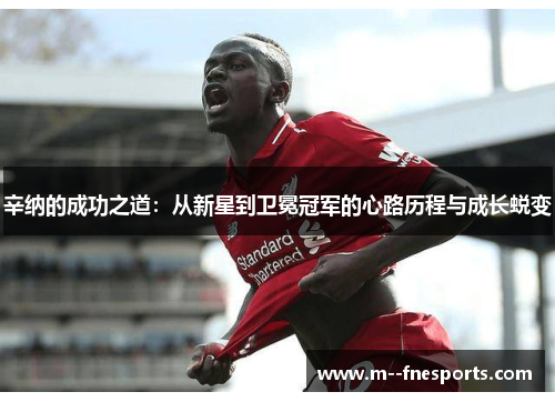 辛纳的成功之道：从新星到卫冕冠军的心路历程与成长蜕变